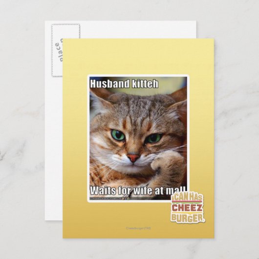 Husband Kitteh Postkarte (Vorne/Hinten)