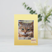 Husband Kitteh Postkarte (Stehend Vorderseite)