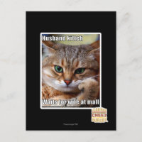Husband Kitteh