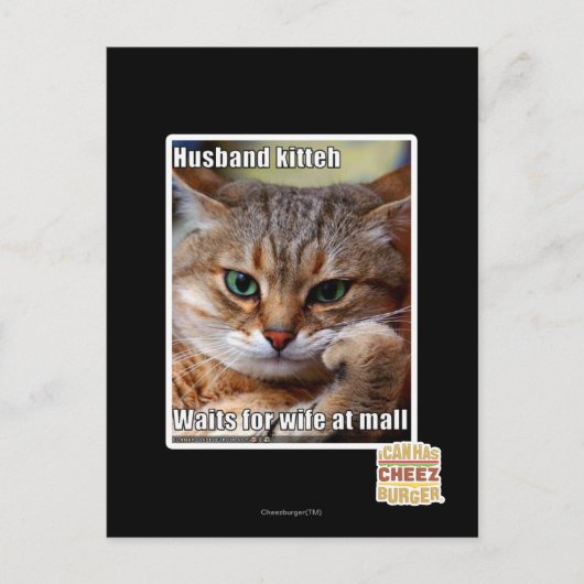 Husband Kitteh Postkarte (Vorderseite)