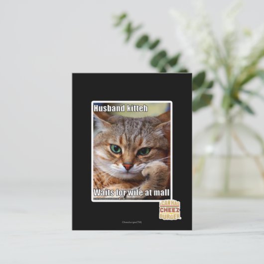 Husband Kitteh Postkarte (Stehend Vorderseite)
