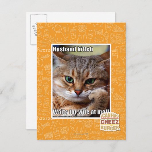 Husband Kitteh Postkarte (Vorne/Hinten)