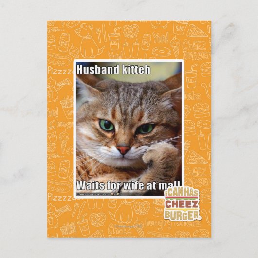 Husband Kitteh Postkarte (Vorderseite)