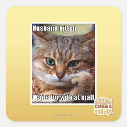 Husband Kitteh Quadratischer Aufkleber (Vorderseite)