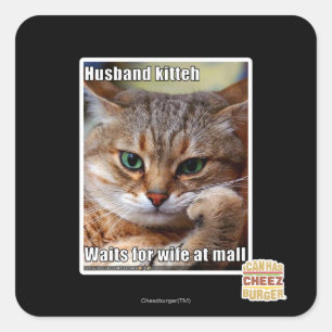 Husband Kitteh Quadratischer Aufkleber