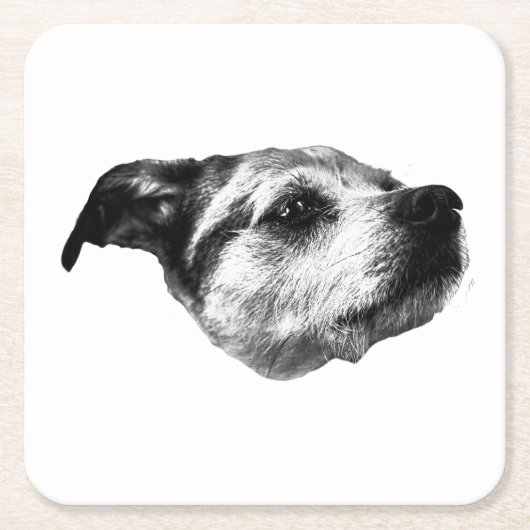 Hush bei Porch Light — Terrier Rechteckiger Pappuntersetzer (Vorderseite)