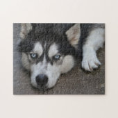 Huskey Blue Eyes Puzzle (Horizontal)