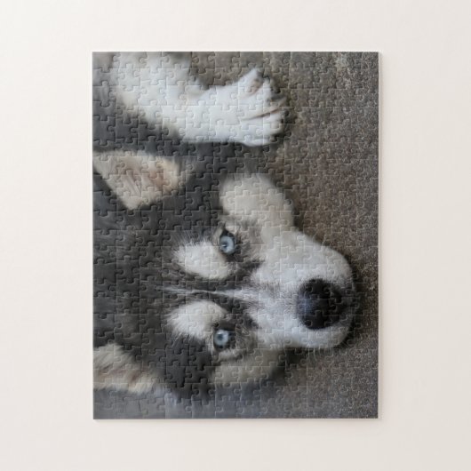 Huskey Blue Eyes Puzzle (Vertikal)