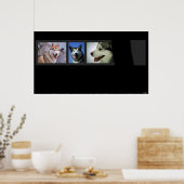 Huskies drucken poster (Küche)