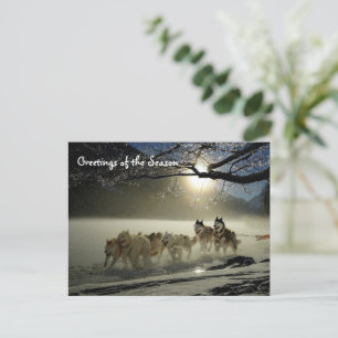 Huskies Husky Urlaub Schlittenhund Weihnachten Pos Postkarte