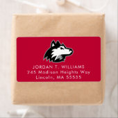 Huskies im Norden Illinois | ABSCHLUSS (Insitu)
