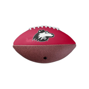 Huskies im Norden Illinois Football