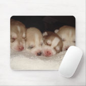 Huskies Mousepad (Mit Mouse)