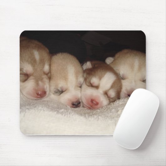 Huskies Mousepad (Mit Mouse)