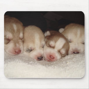 Huskies Mousepad