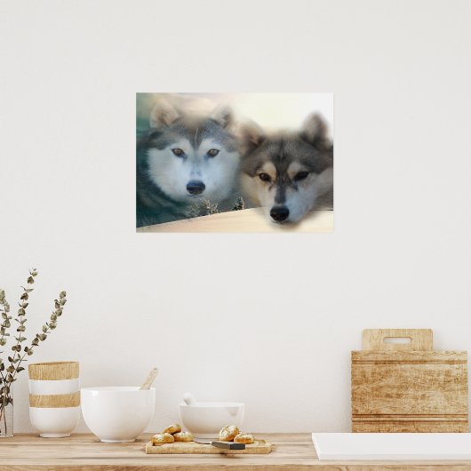 Huskies-Poster Poster (Küche)