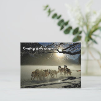 Huskieses Husky Holiday Sled Dog Weihnachtskarte Postkarte