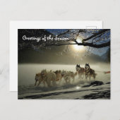 Huskieses Husky Holiday Sled Dog Weihnachtskarte Postkarte (Vorne/Hinten)