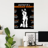 Husky | Anatomie sibirischer Hunde Poster (Heimbüro)