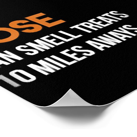 Husky | Anatomie sibirischer Hunde Poster (Ecke)