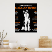 Husky | Anatomie sibirischer Hunde Poster (Küche)