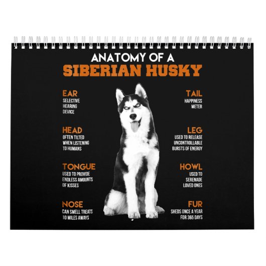 Husky| Anatomie von sibirischen Husky - Hunden Kalender (Titelbild)