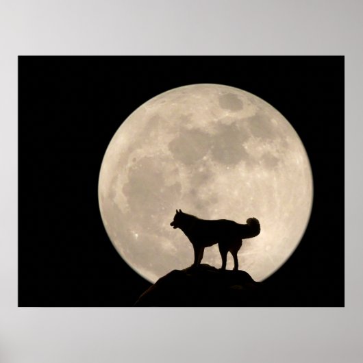 Husky Art Print Sled Dog Art Poster Husky Geschenk (Vorne)