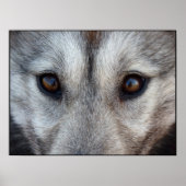Husky Art Print Sled Dog Art Poster Wolf Pup Gesch (Vorne)
