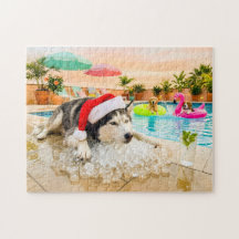 Husky auf Felsen zu Weihnachten