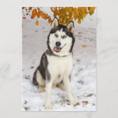 Husky Bar Menükarte (Rückseite)