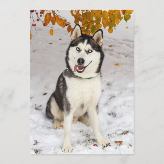 Husky Bar Menükarte (Rückseite)