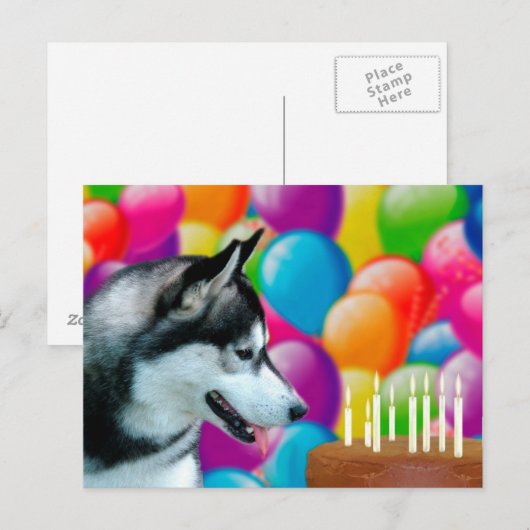 Husky Birthday Postkarte (Vorne/Hinten)