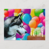 Husky Birthday Postkarte (Vorderseite)