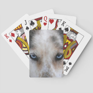 Husky blue eyes playing cards deck spielkarten