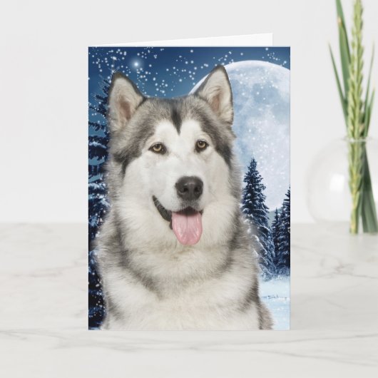 Husky Christmas Card Feiertagskarte (Vorderseite)