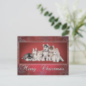 Husky Christmas Feiertagspostkarte (Stehend Vorderseite)