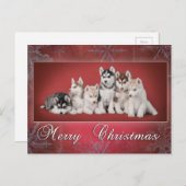 Husky Christmas Feiertagspostkarte (Vorne/Hinten)