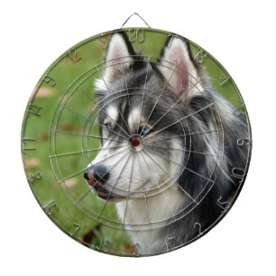 Husky Dartscheibe