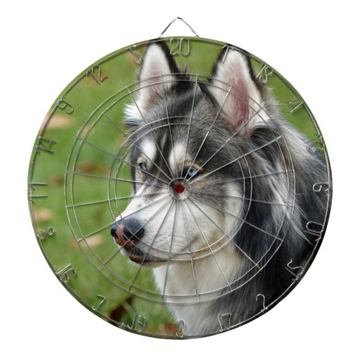 Husky Dartscheibe (vorne)