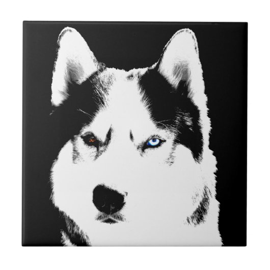 Husky Dog Art Keramik Tile Malamute Wolf Dog Gesch Fliese (Vorderseite)