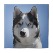 Husky Dog Art Keramik Tile Malamute Wolf Eyes Gesc Fliese (Vorderseite)