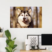 Husky Dog Beautiful Art Print Poster (Heimbüro)