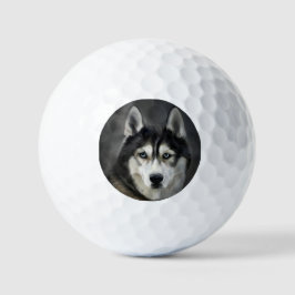 Husky Dog Big Dog Animal Pet Golfball