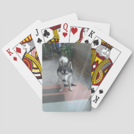 Husky Dog Classic Spielkarten