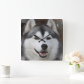 Husky Dog Clock Quadratische Wanduhr (Zuhause)