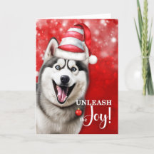 Husky Dog entleash the Joshire