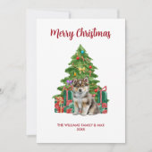 Husky Dog Familie Weihnachten (Vorderseite)