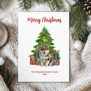 Husky Dog Familie Weihnachten