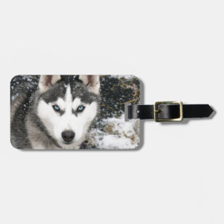 Husky dog gepäckanhänger