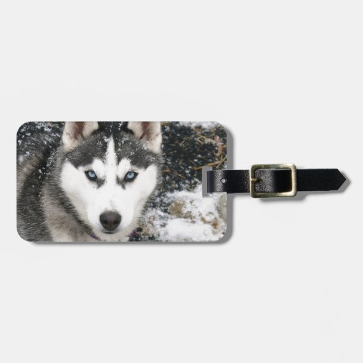 Husky dog gepäckanhänger (Vorderseite horizontal)